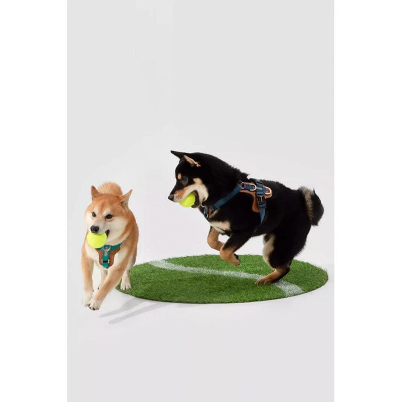 Nylon-Leather Dog Harness – “TrailEase” by PetJeeves®