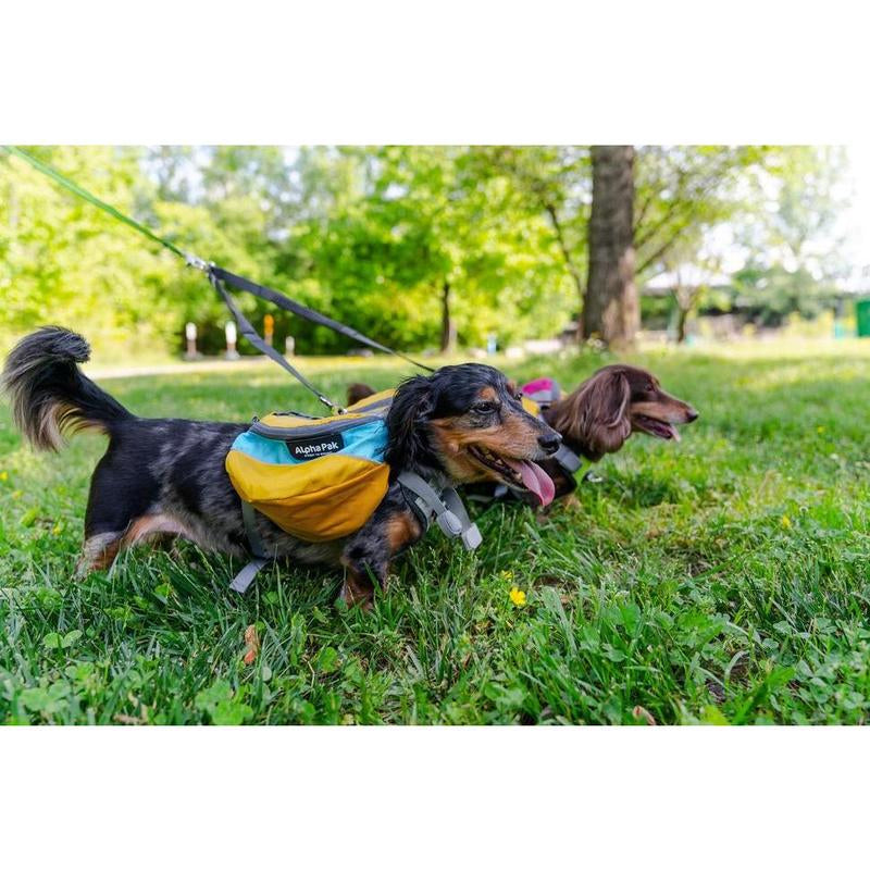 Alpha Pak Adventurer EZ-Latch Dog Pack (Harness + Saddlebags)