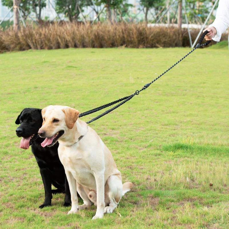Double-Bungee Rope Dog Leash (31 in + 20-35 in) – iYoShop x PetJeeves®