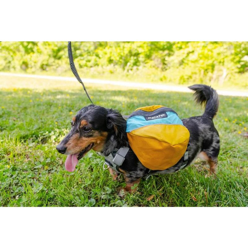 Alpha Pak Adventurer EZ-Latch Dog Pack (Harness + Saddlebags)