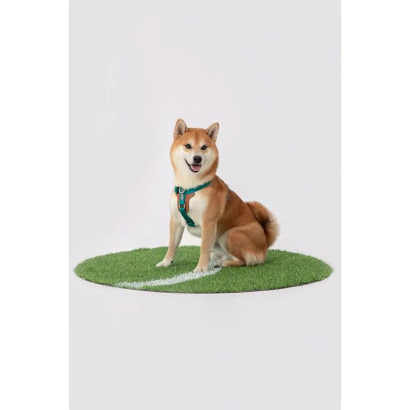 Nylon-Leather Dog Harness – “TrailEase” by PetJeeves®